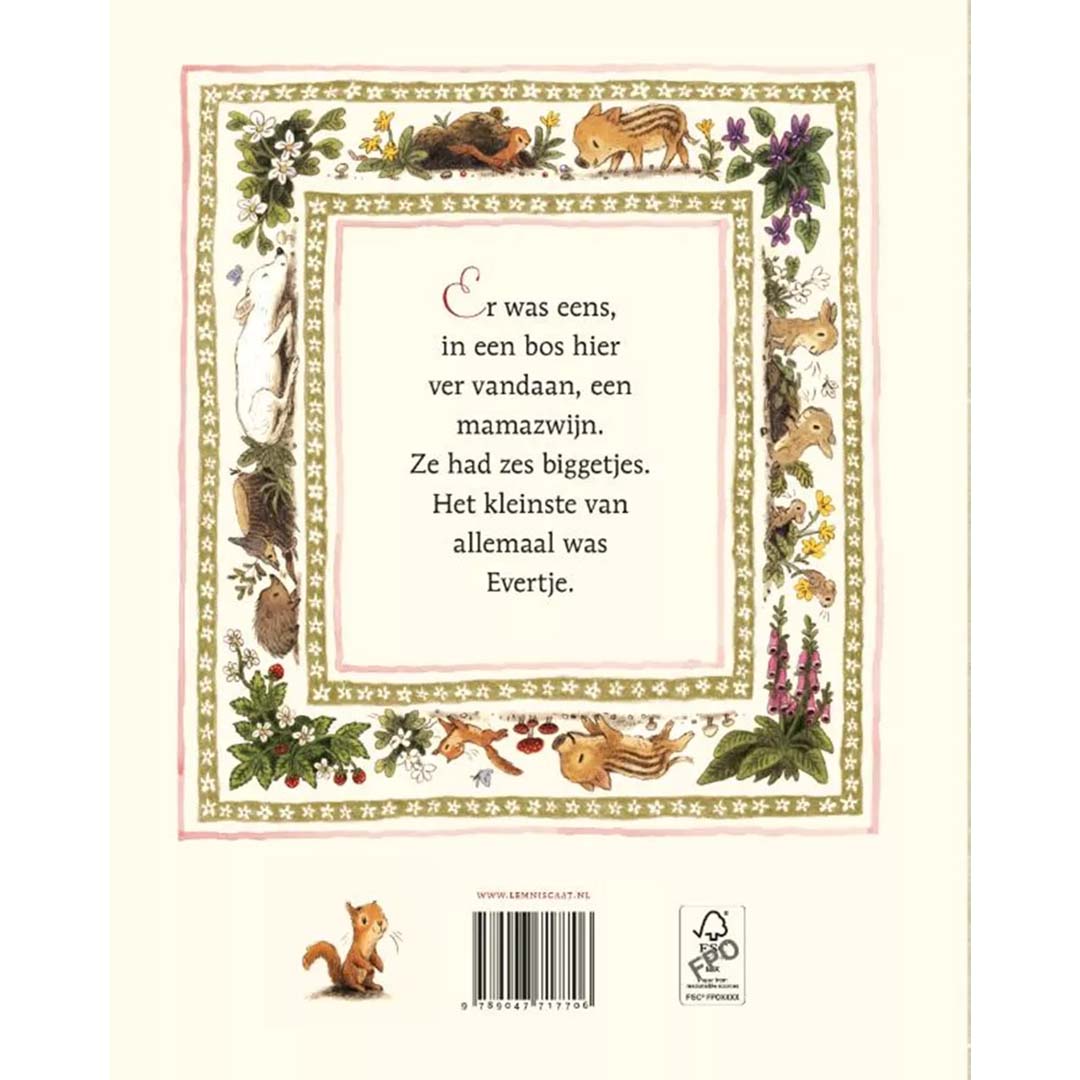 uitgeverij lemniscaat prentenboek evertje | LEM1631770 | 6