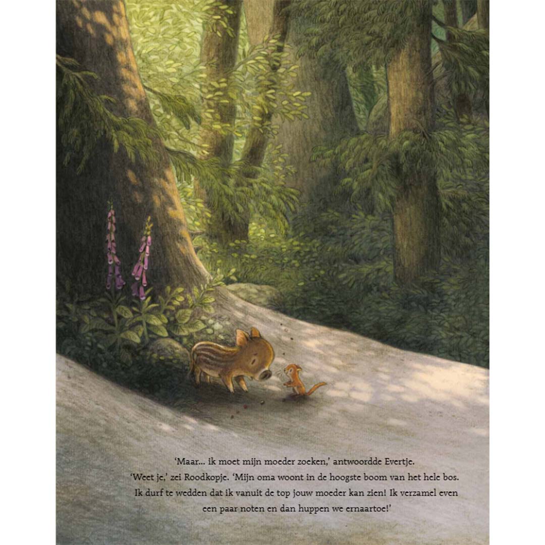 uitgeverij lemniscaat prentenboek evertje | LEM1631770 | 5