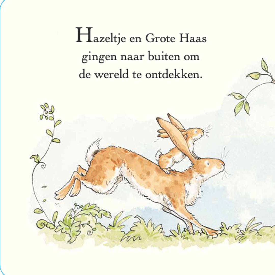 uitgeverij-lemniscaat-raad-eens-ik-zie-mij-1631621-2