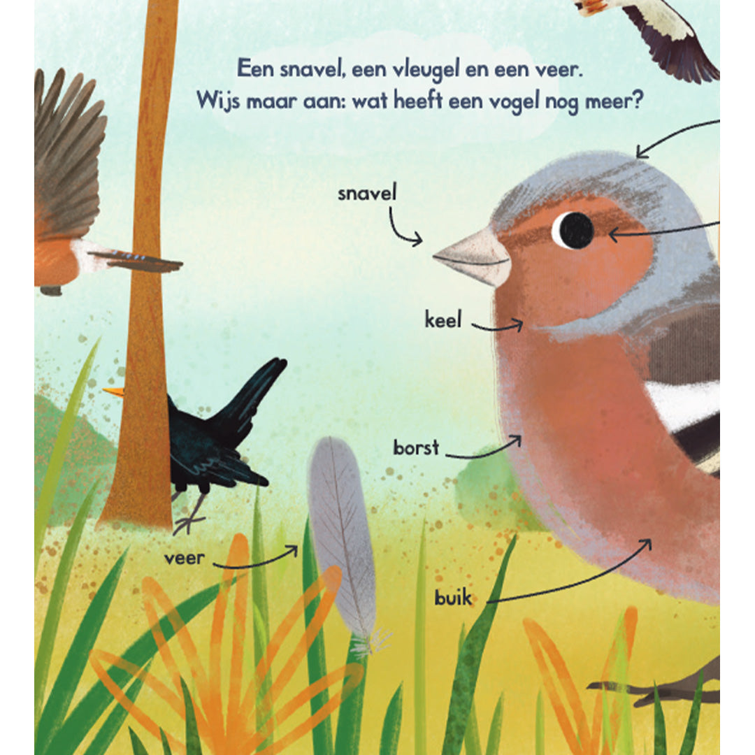 uitgeverij lemniscaat welke vogels zie jij? | 1631619 | 1