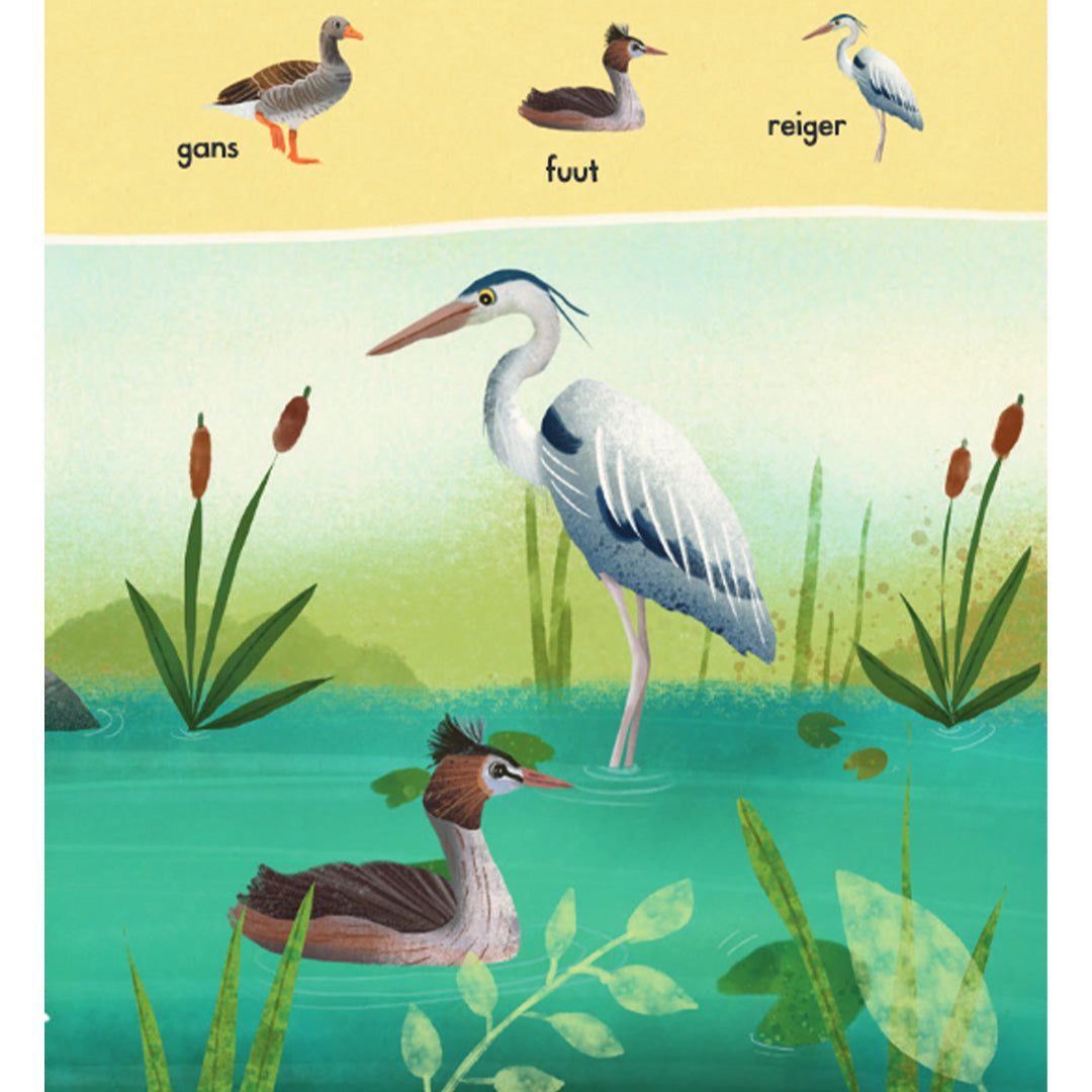 uitgeverij lemniscaat welke vogels zie jij? | 1631619 | 4