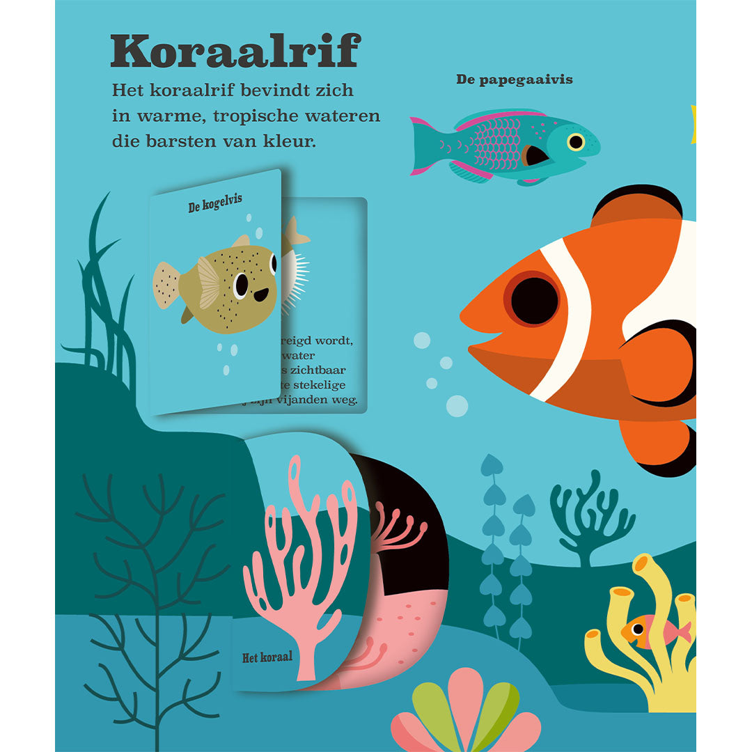 uitgeverij oogappel pop-up boek oceanen | 1528686 | 2