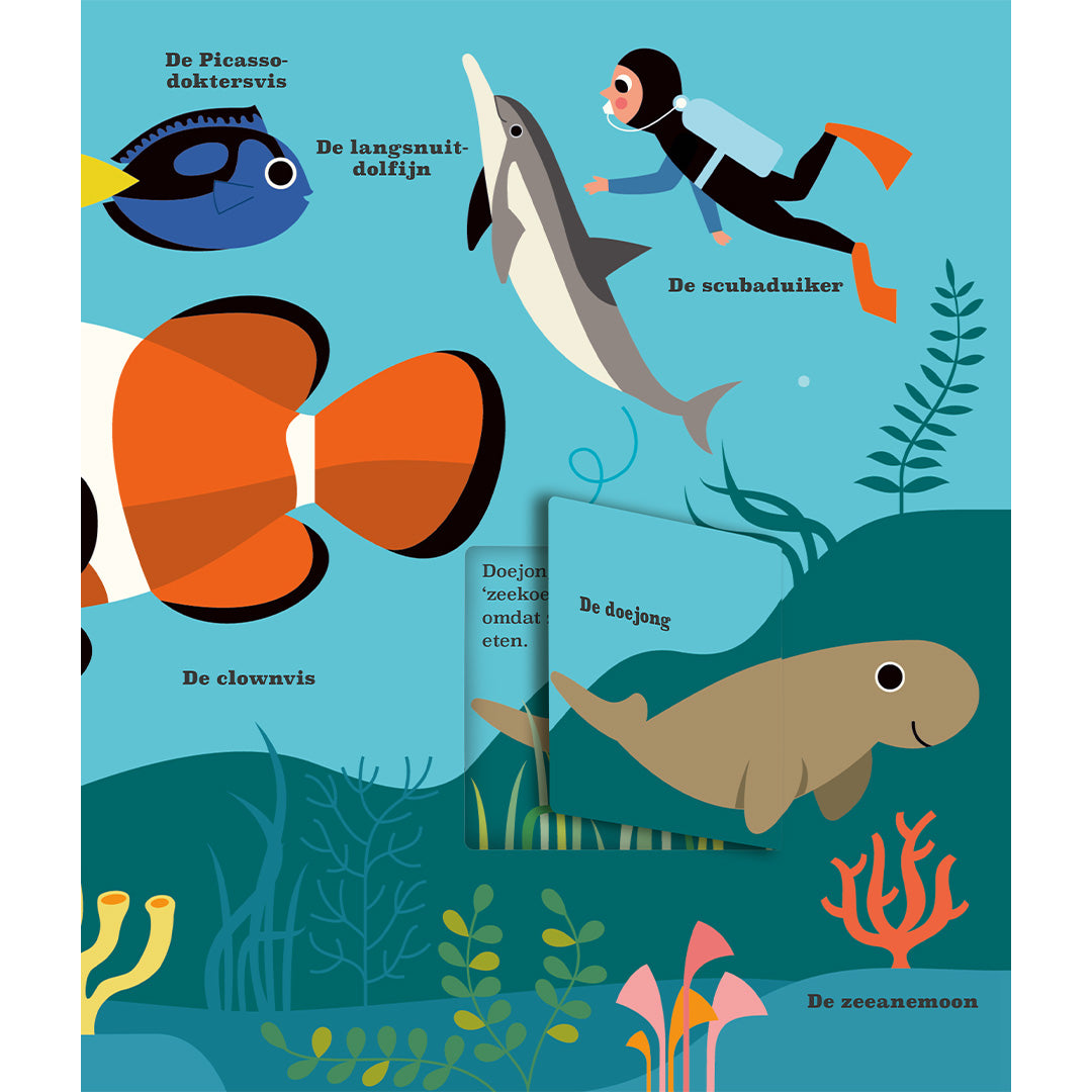 uitgeverij oogappel pop-up boek oceanen | 1528686 | 3