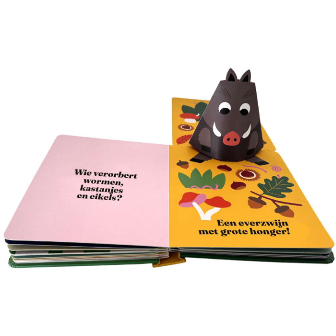 uitgeverij oogappel verstoppertje in het bos! | OOG1528690 | 2