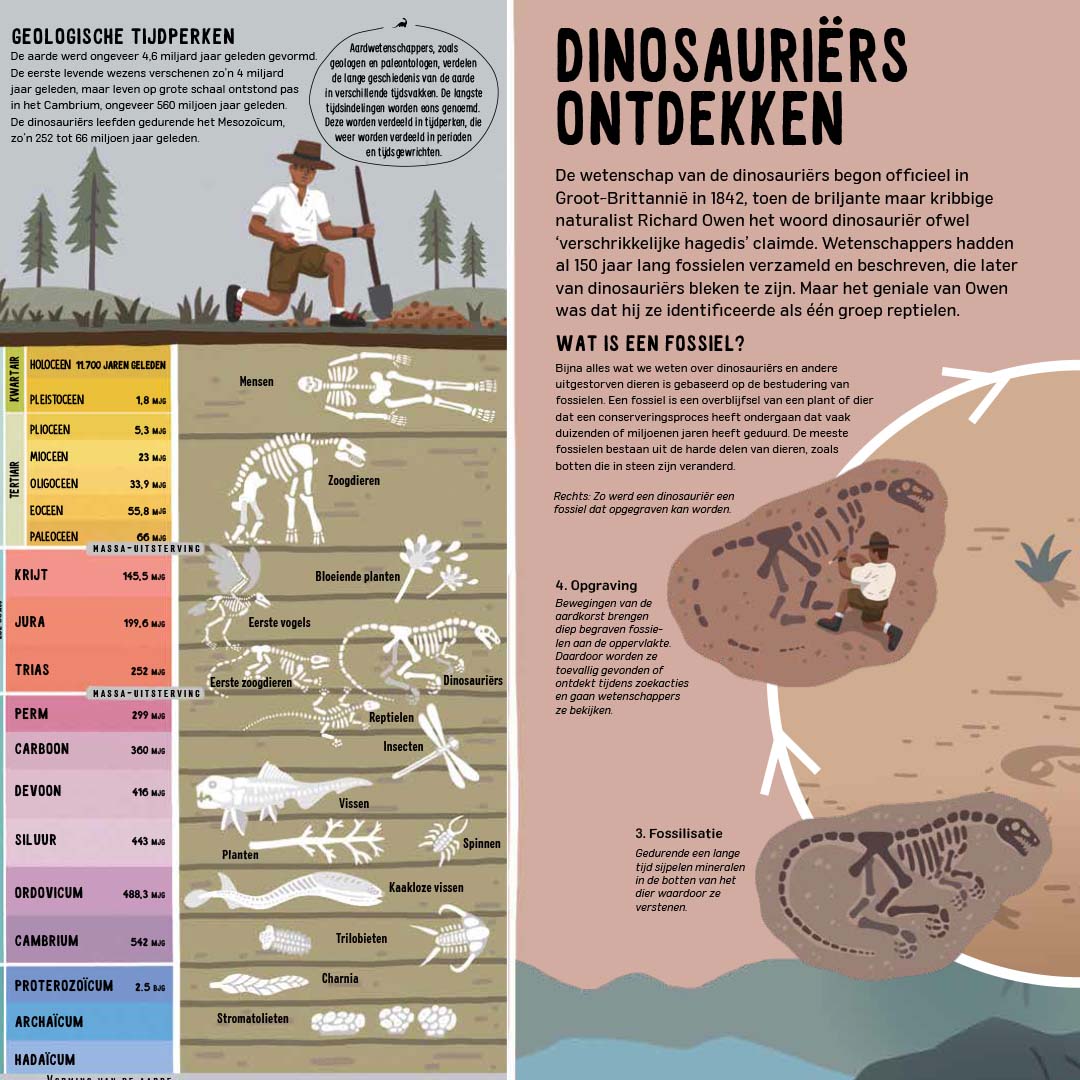 uitgeverij rebo de tijd van de dino's - expeditie-avontuur | 1724436 | 4