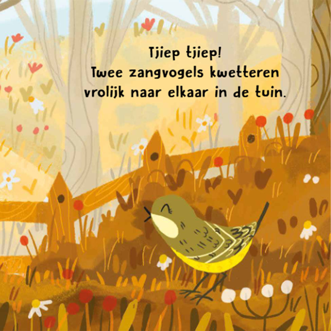 uitgeverij rebo geluidenboek vogels wat hoor ik daar?