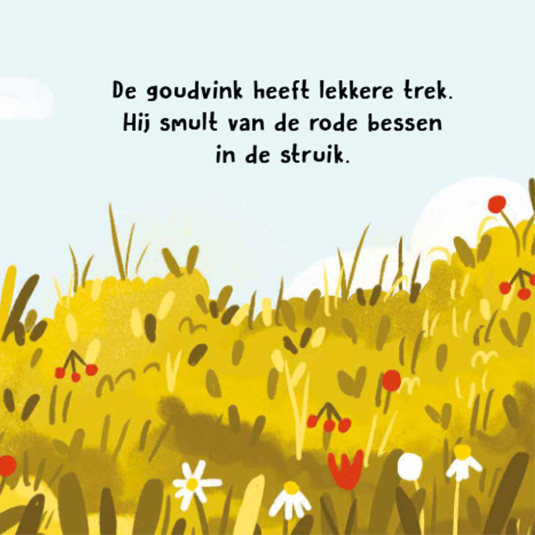 uitgeverij rebo geluidenboek vogels wat hoor ik daar?