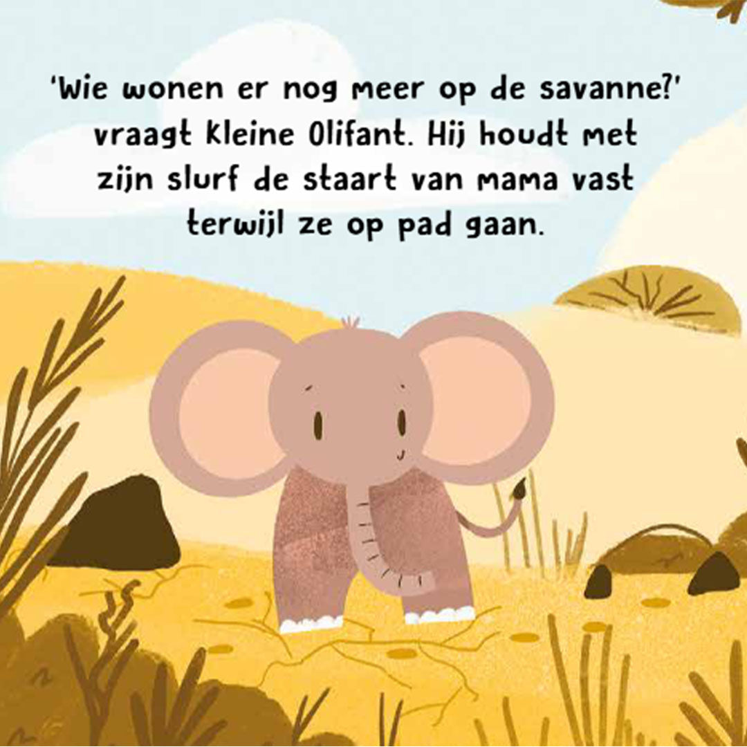 uitgeverij rebo geluidenboek wat hoor ik daar? - wilde dieren | REB1725024 | 2