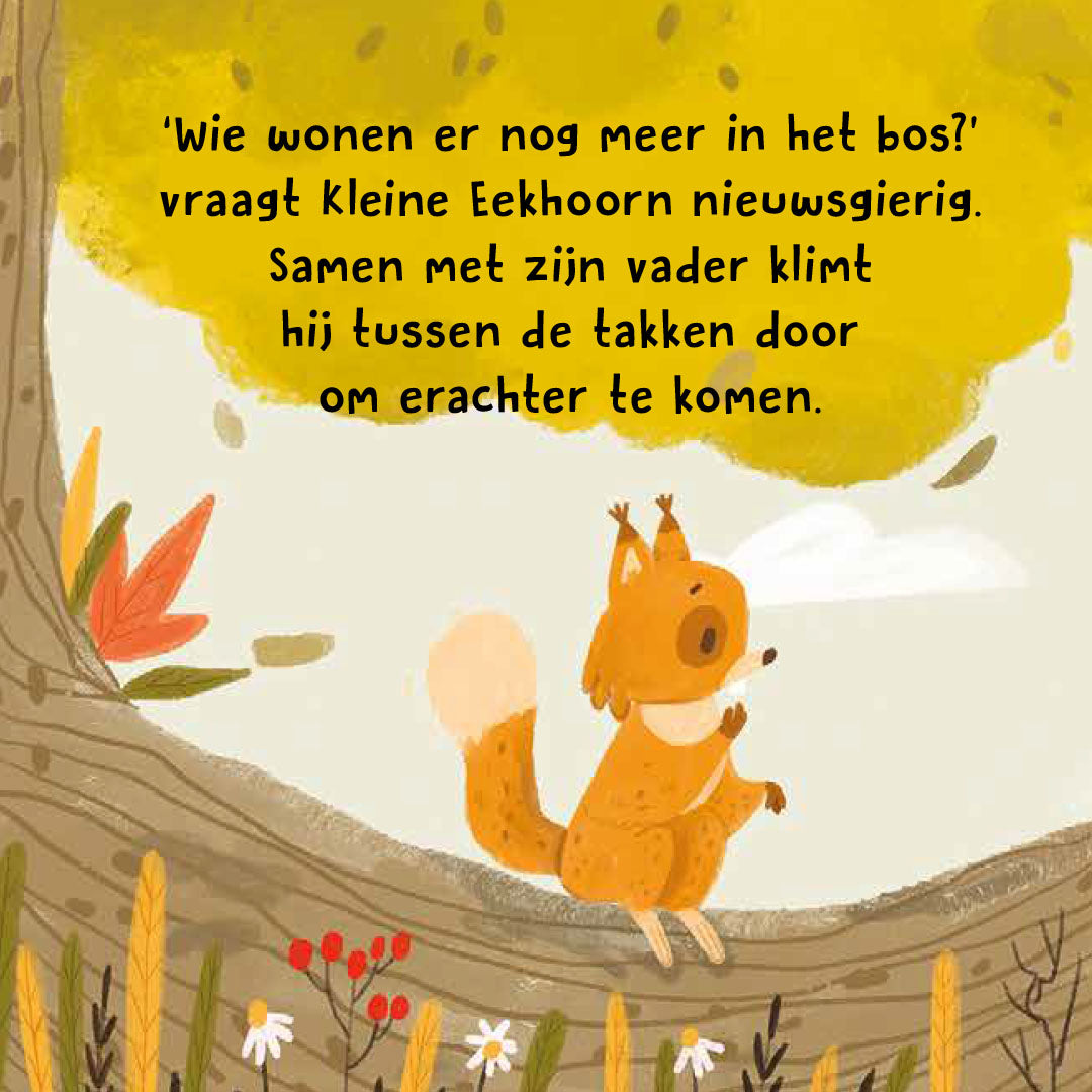 uitgeverij rebo wat hoor ik daar? - het bos | 1725054 | 2