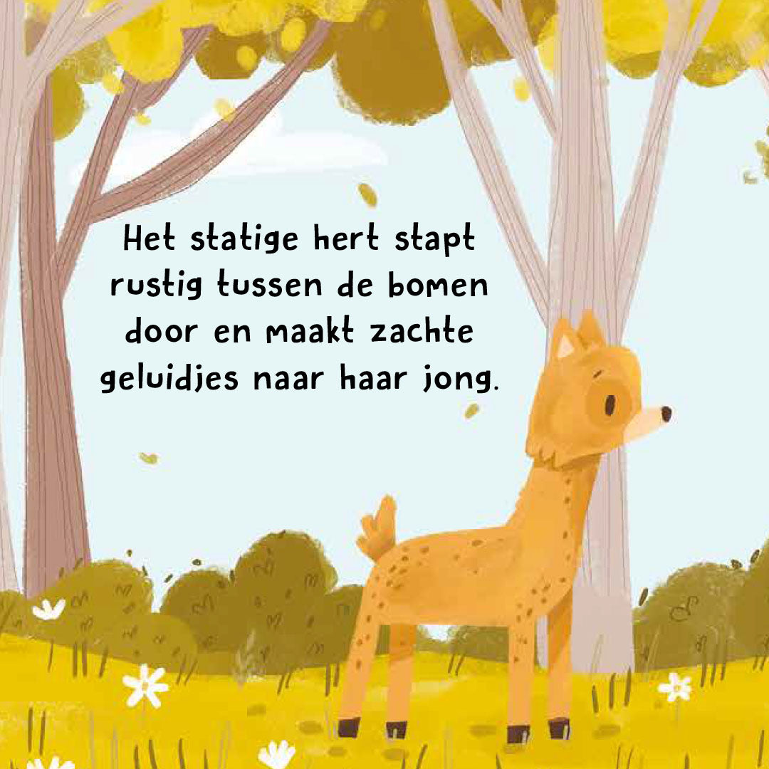 uitgeverij rebo wat hoor ik daar? - het bos | 1725054 | 4