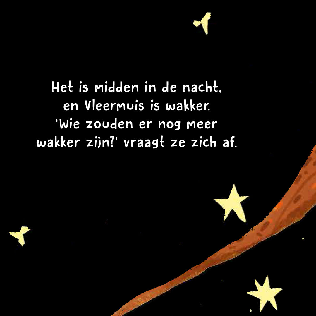 uitgeverij rebo wat hoor ik daar? - nachtdieren | 1725055 | 2