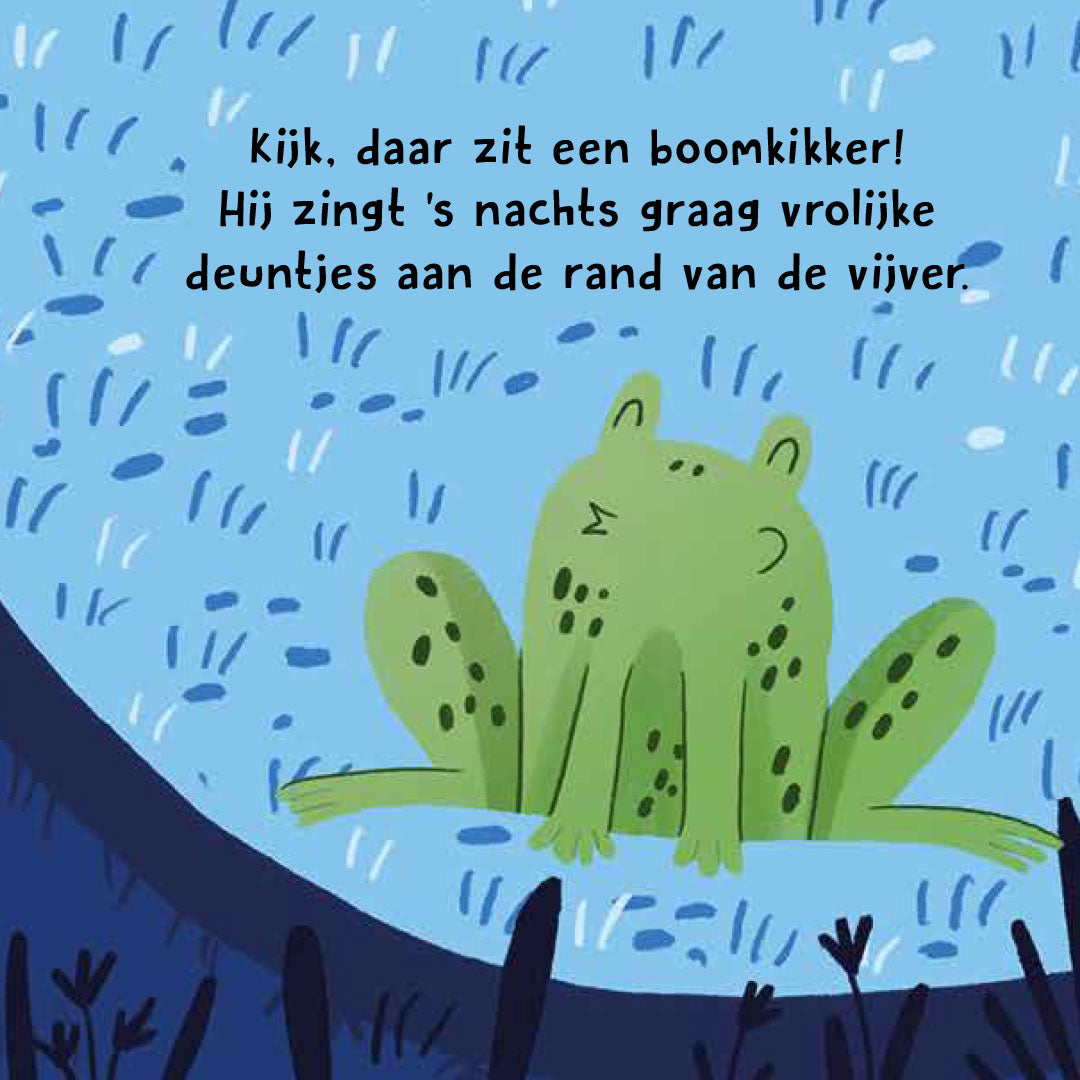 uitgeverij rebo wat hoor ik daar? - nachtdieren | 1725055 | 5