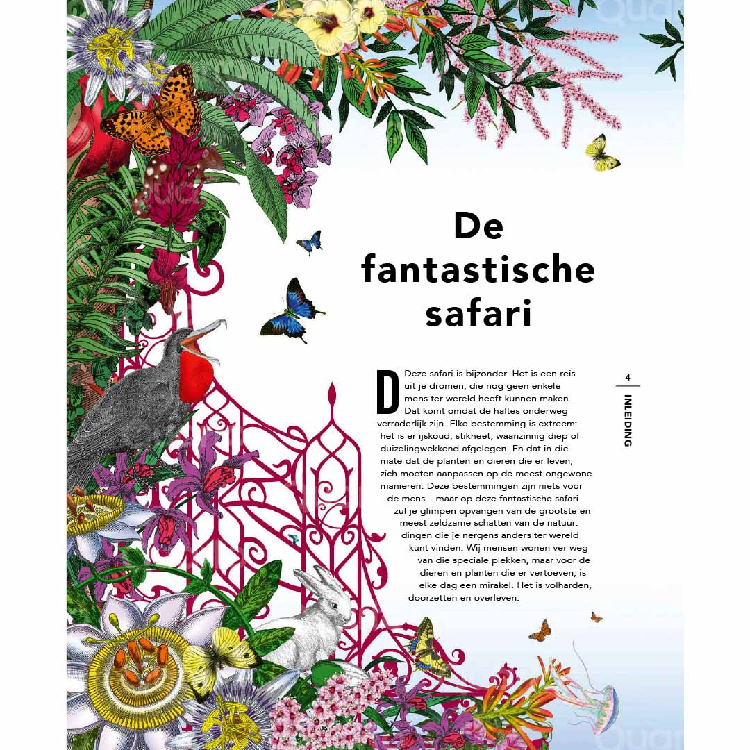uitgeverij salto de fantastische safari | 1188697 | 3