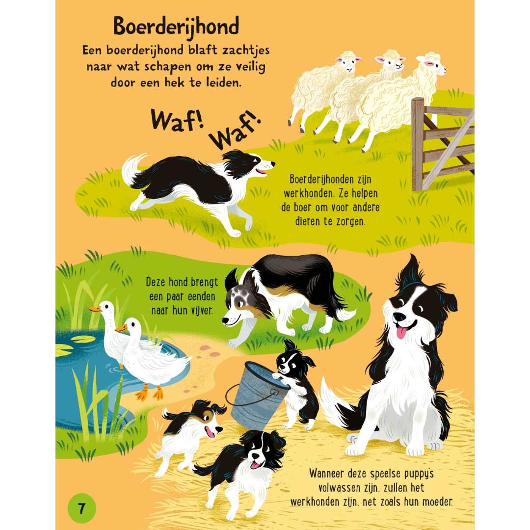 uitgeverij usborne bouwen en spelen boerderijdieren | 1706534 | 4
