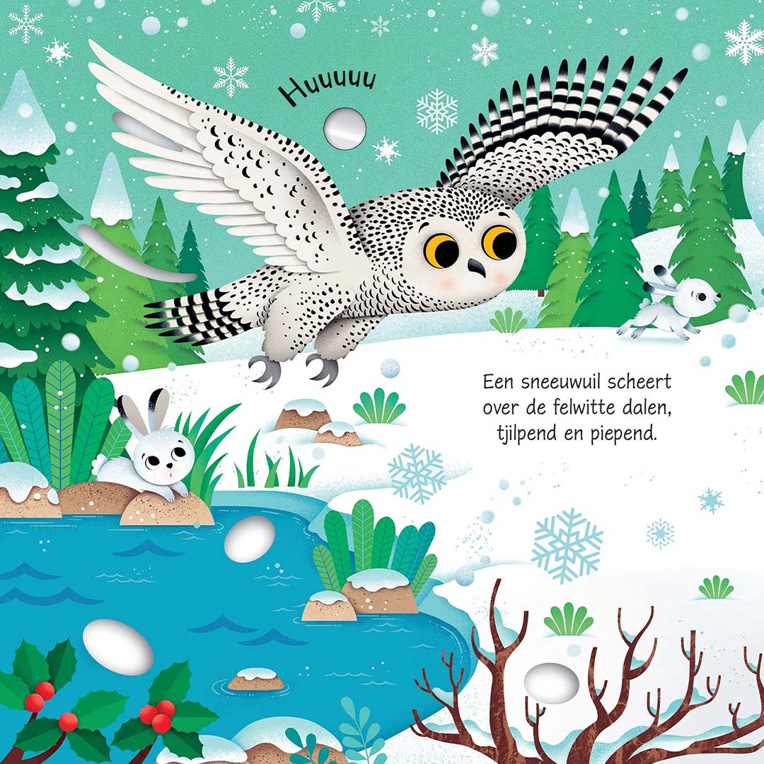 uitgeverij usborne geluidenboek dieren op de noordpool | 1701460 | 3