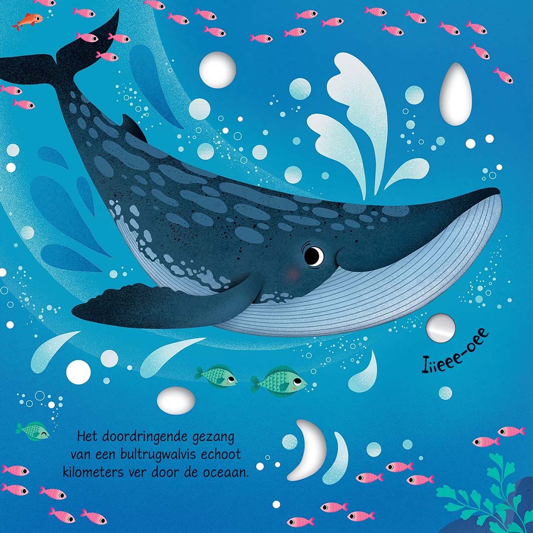 uitgeverij usborne geluidenboek dieren op de noordpool | 1701460 | 6