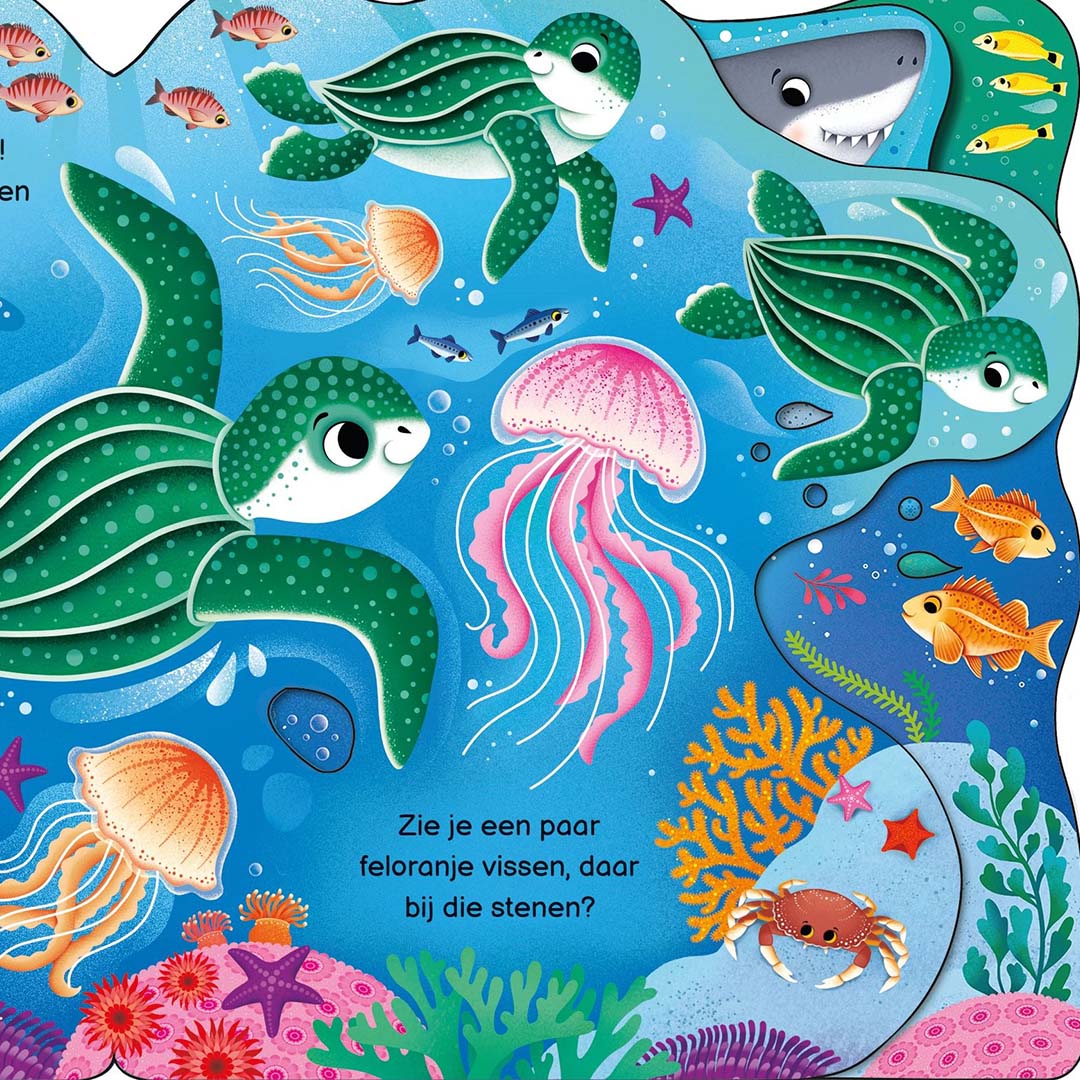 uitgeverij usborne kartonboek wie zie je vandaag in de oceaan? | 1700832| 2