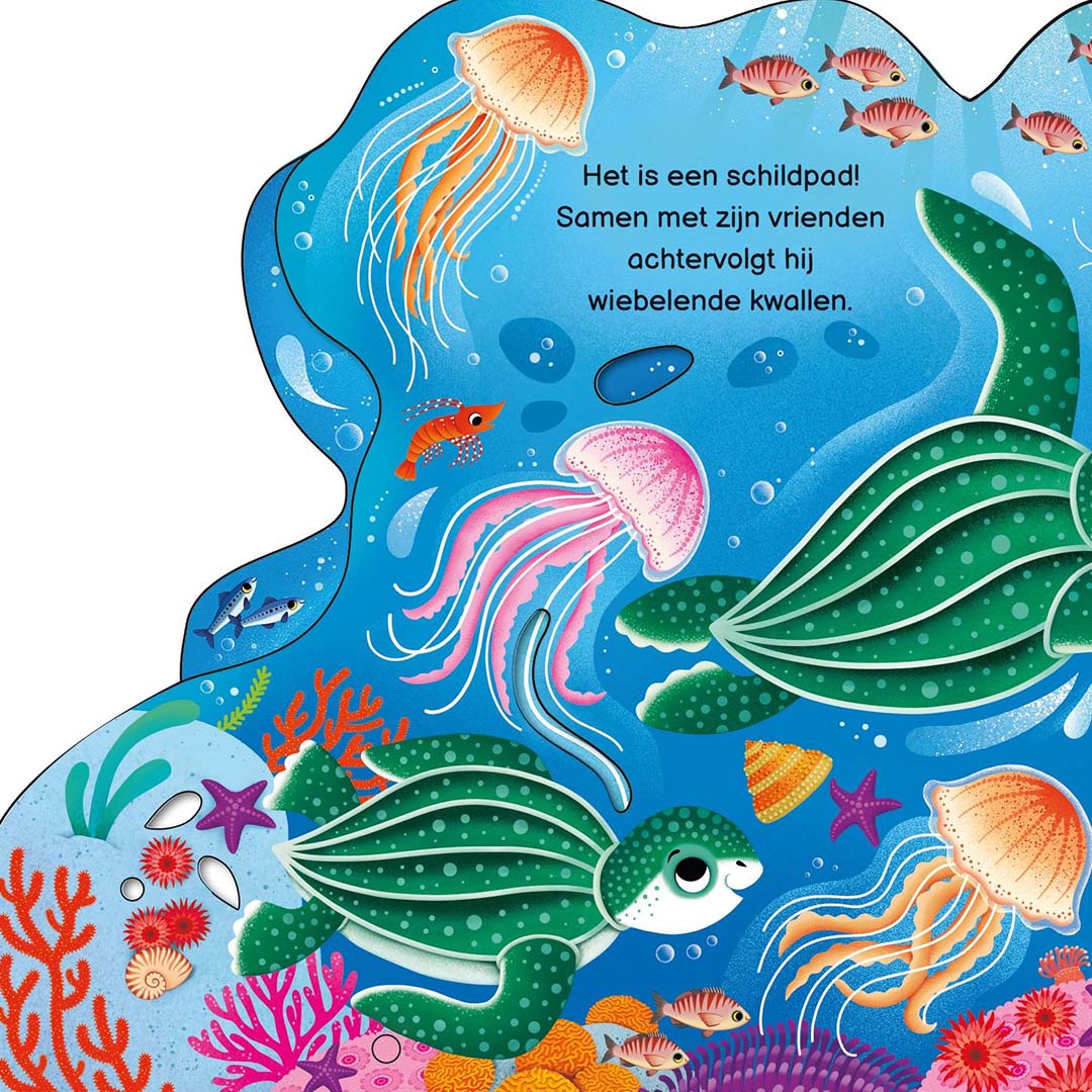 uitgeverij usborne kartonboek wie zie je vandaag in de oceaan? | 1700832| 3
