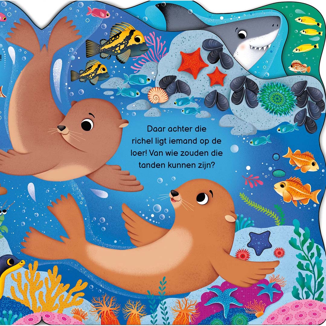uitgeverij usborne kartonboek wie zie je vandaag in de oceaan? | 1700832| 4