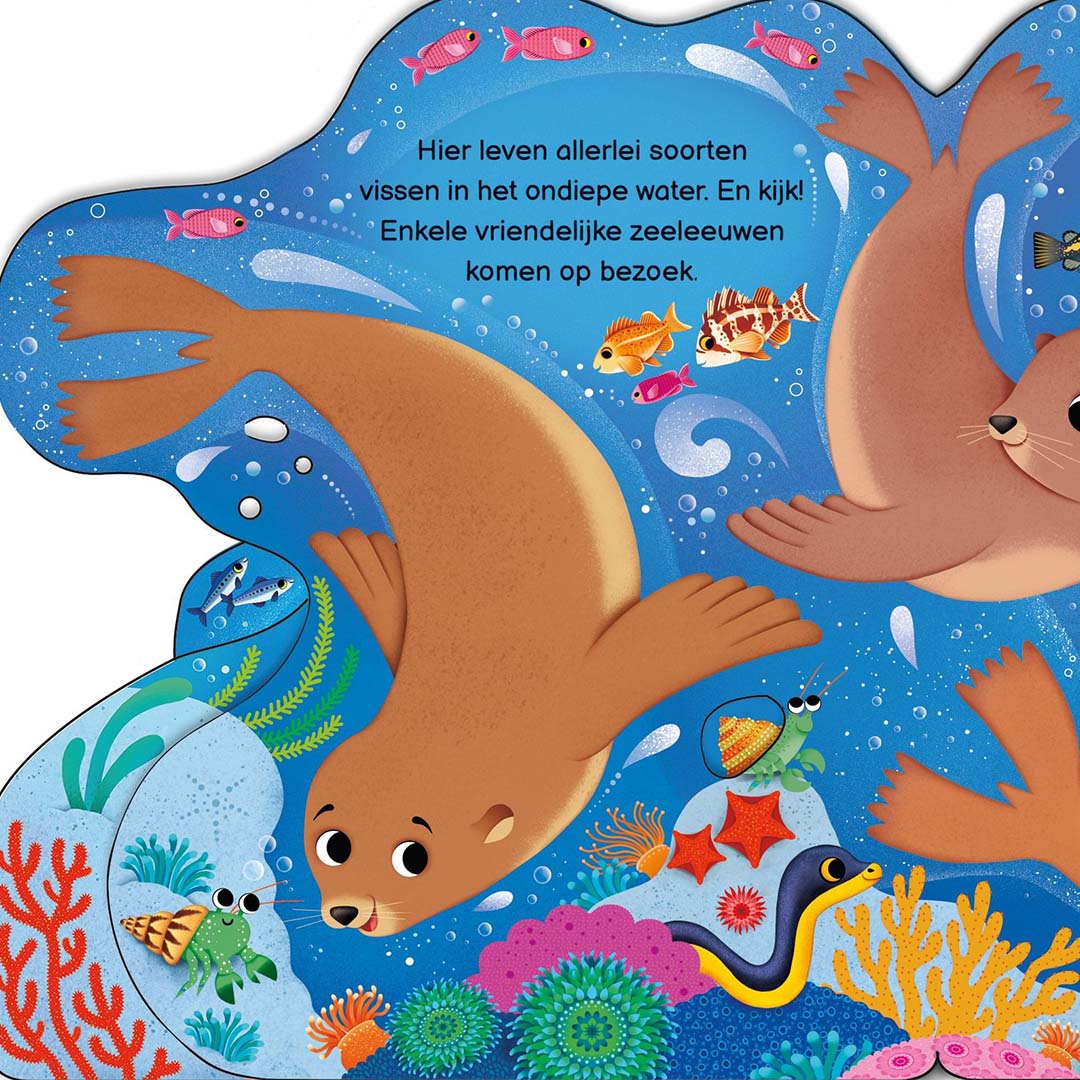 uitgeverij usborne kartonboek wie zie je vandaag in de oceaan? | 1700832| 5