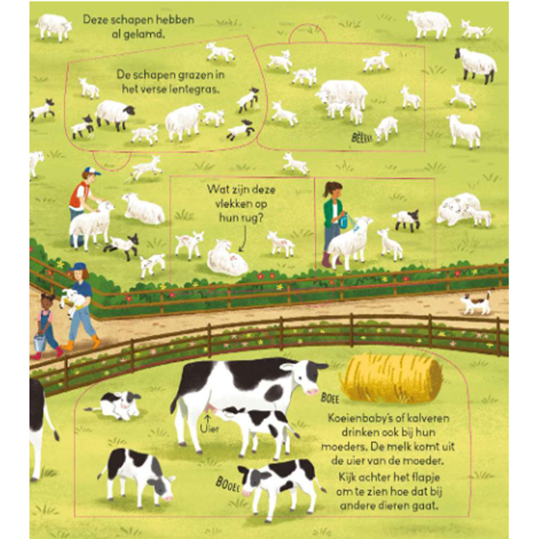 uitgeverij-usborne-kijk-binnen-in-een-boerderij-1706226-5