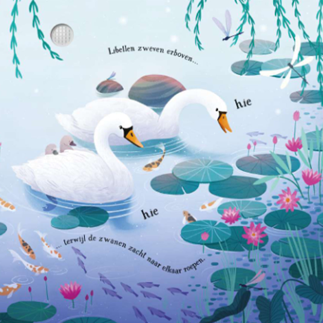 uitgeverij usborne muziekboek het carnaval der dieren | 1706732 | 5