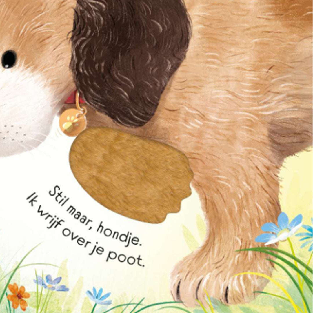 uitgeverij-usborne-stil-maar-hondje-1706010-5