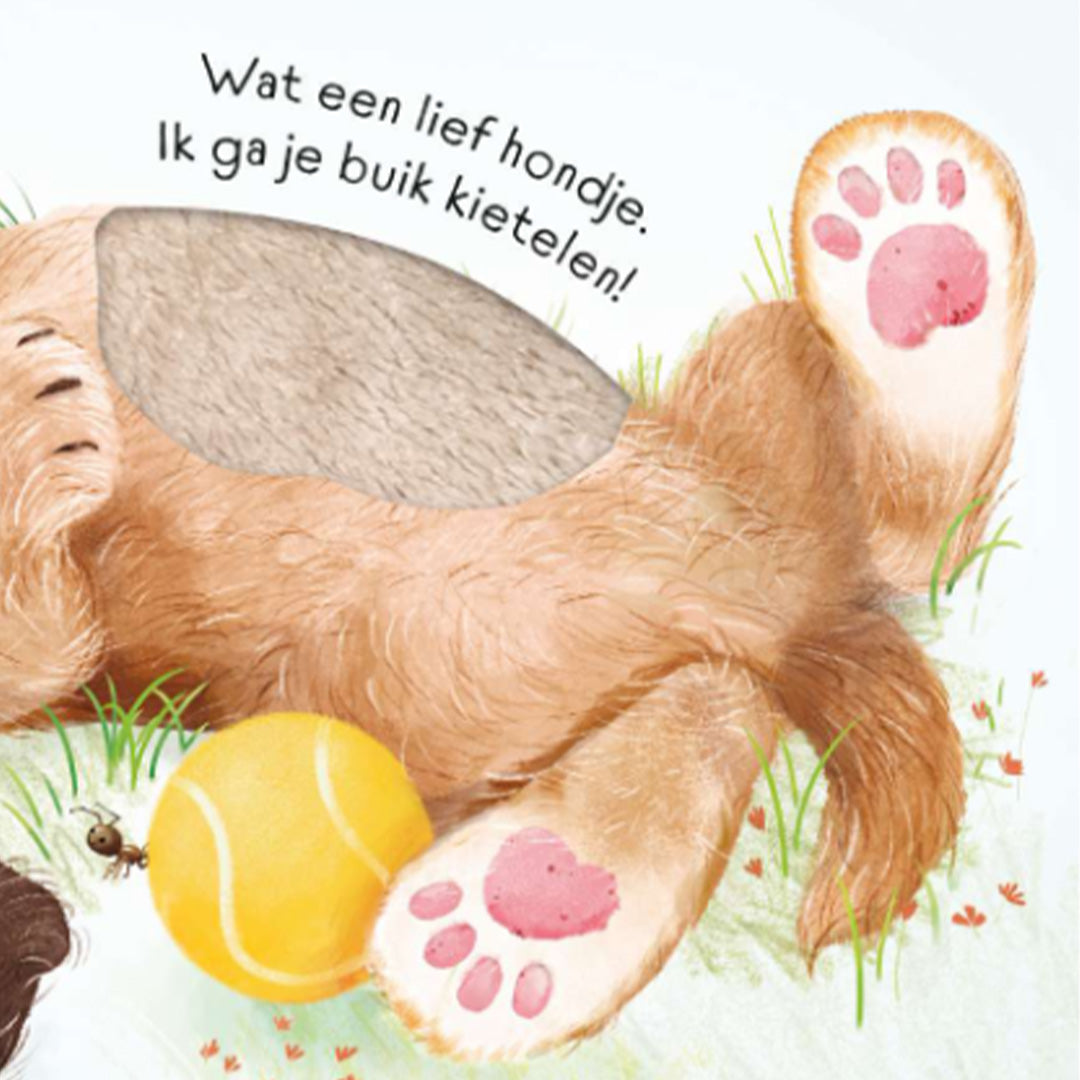 uitgeverij-usborne-stil-maar-hondje-1706010-7