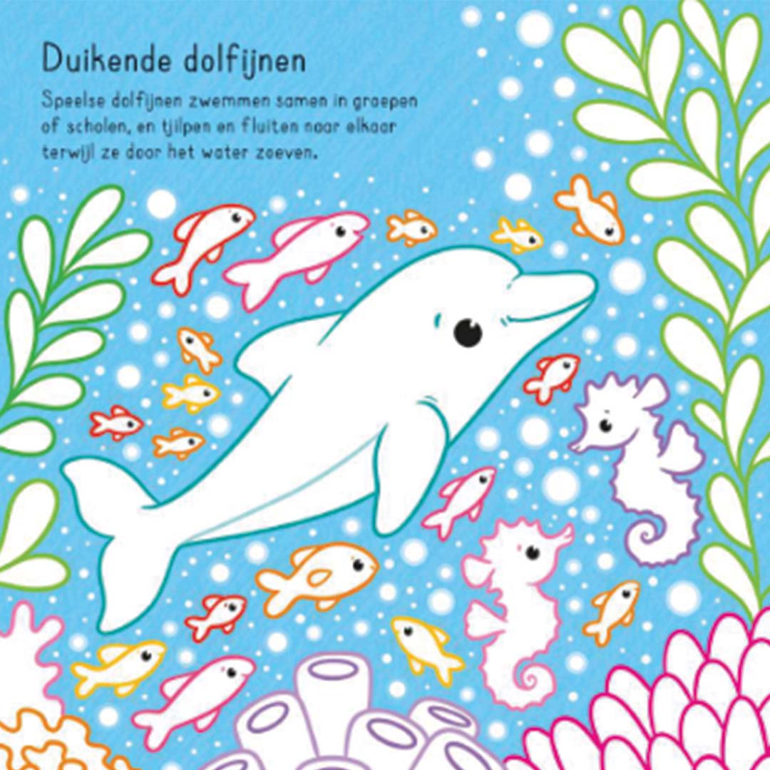 uitgeverij usborne toverkleurboek in de zee