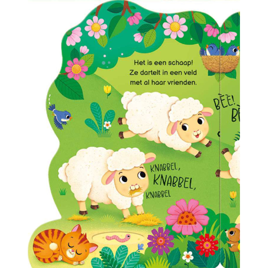 uitgeverij usborne wie zie je vandaag op de boerderij?