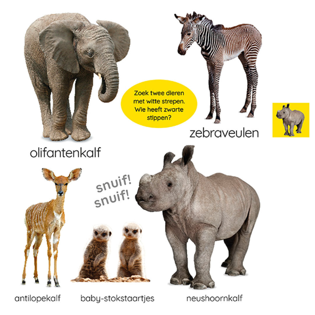 Pagina uit het kinderboek met foto's van een olifantenkalf, zebra veulen, antilopekalf, baby-stokstaartjes en neushoornkalf.