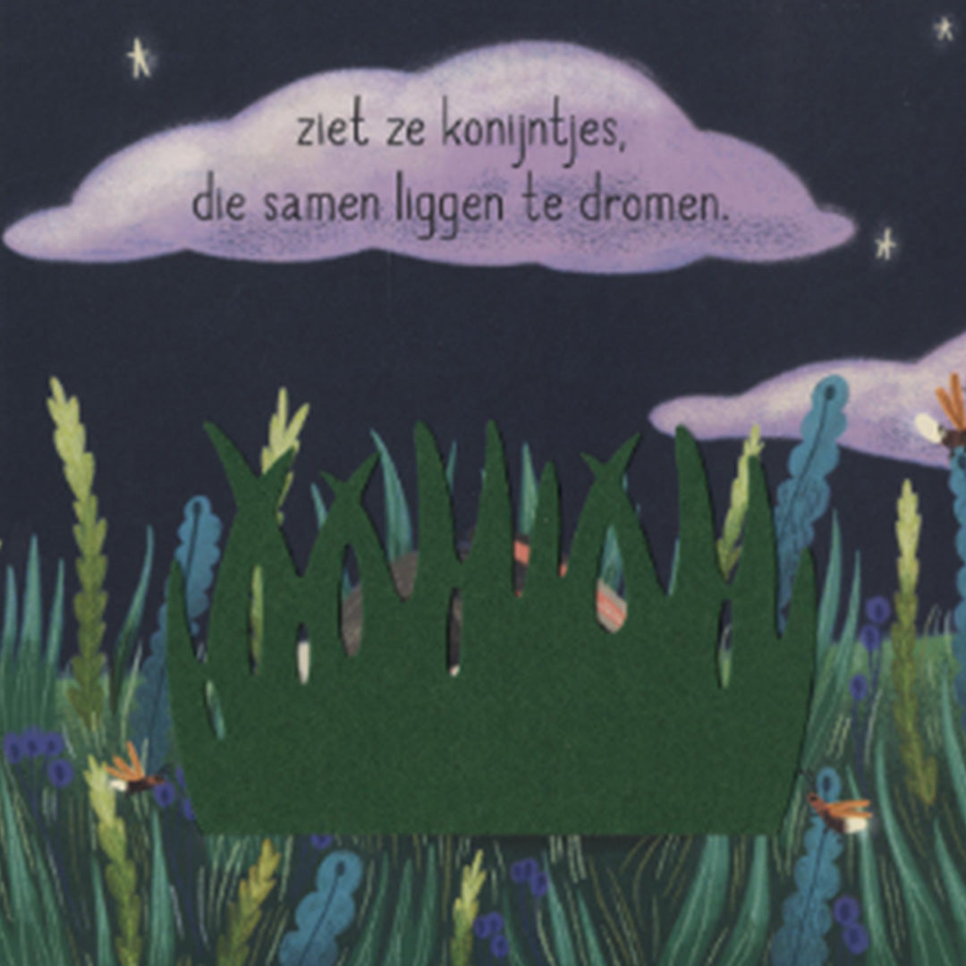 uitgeverij veltman voelboek droom zacht |  1742167 | 4