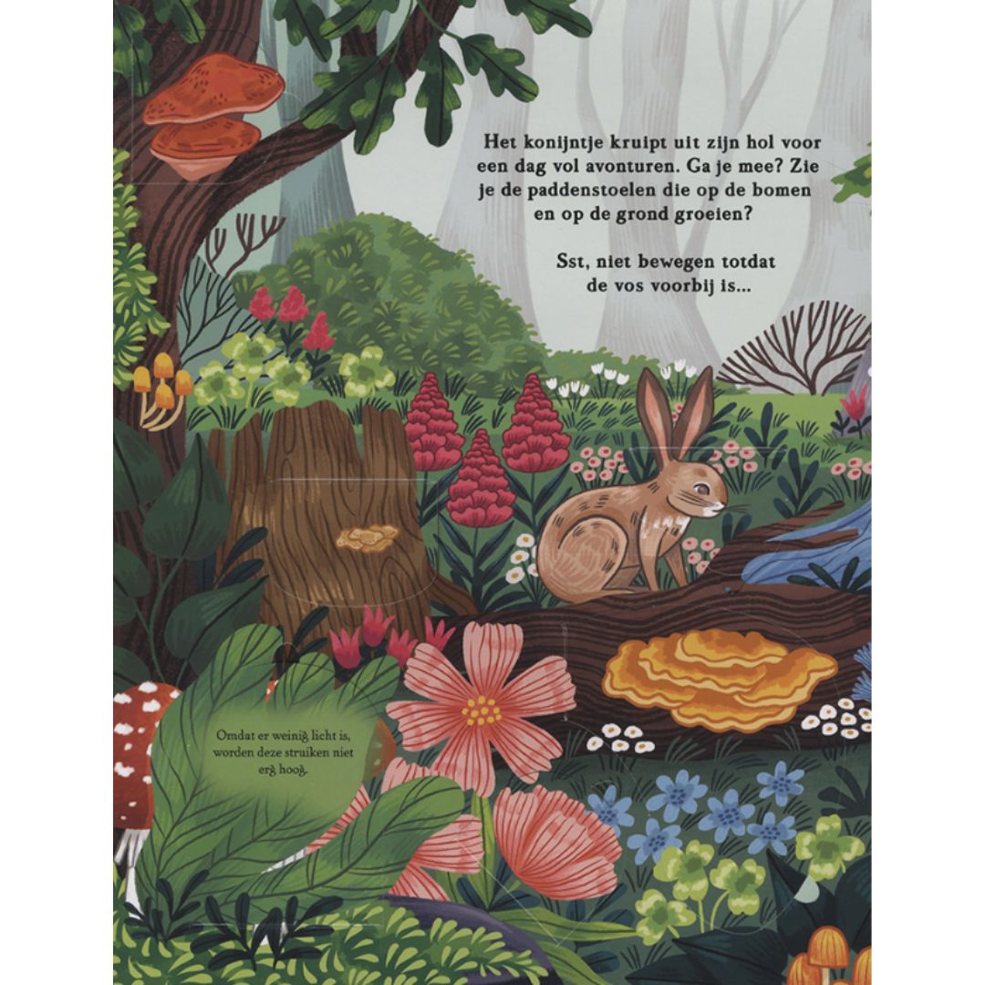 veltman uitgevers flapjesboek zoek & vind - in het bos | 1742187 | 4