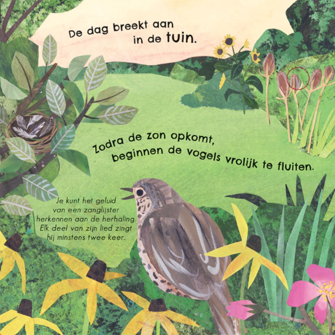 veltman uitgevers geluidenboek 24 unieke vogelgeluiden en liedjes | 1742221 | 1