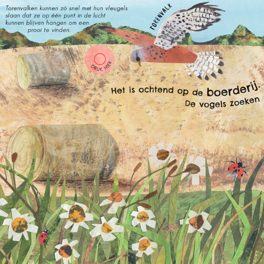 veltman uitgevers geluidenboek 24 unieke vogelgeluiden en liedjes | 1742221 | 3