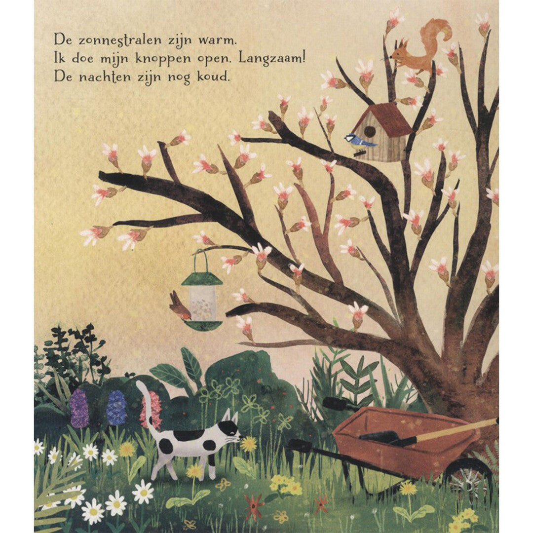 veltman uitgevers kartonboek de magie van de seizoenen | 1742068 | 3