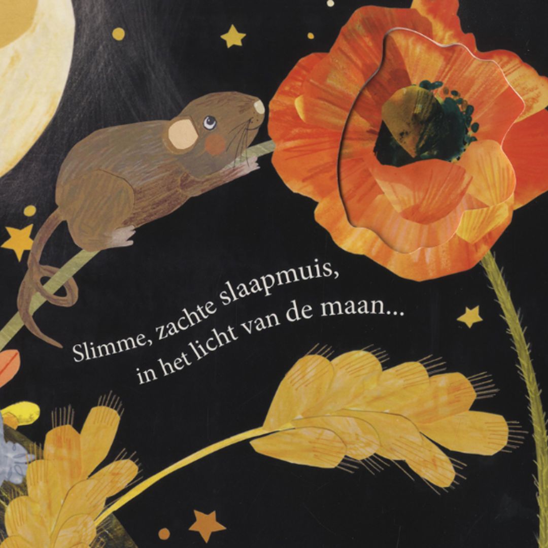veltman uitgevers kartonboek uil houdt van jou | 1742218 | 3
