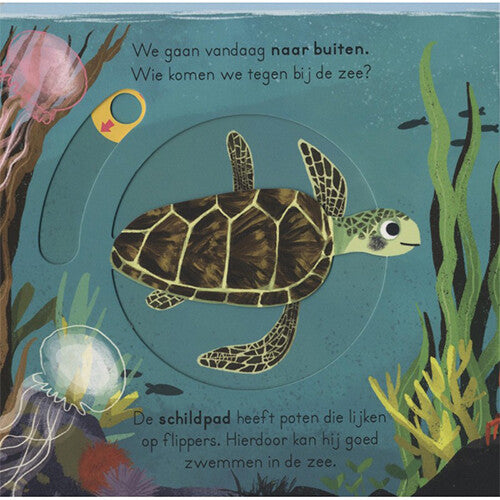 veltman uitgevers schuifboekje in de zee | 1742009 | 1