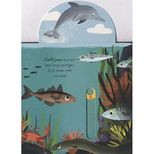 veltman uitgevers schuifboekje in de zee | 1742009 | 3