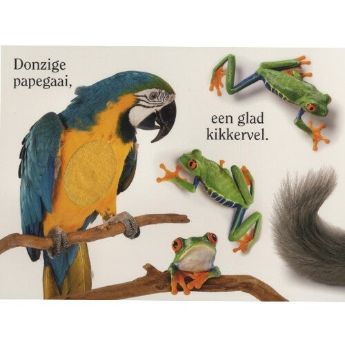 veltman uitgevers voelboekje aai! | 1742027 | 2