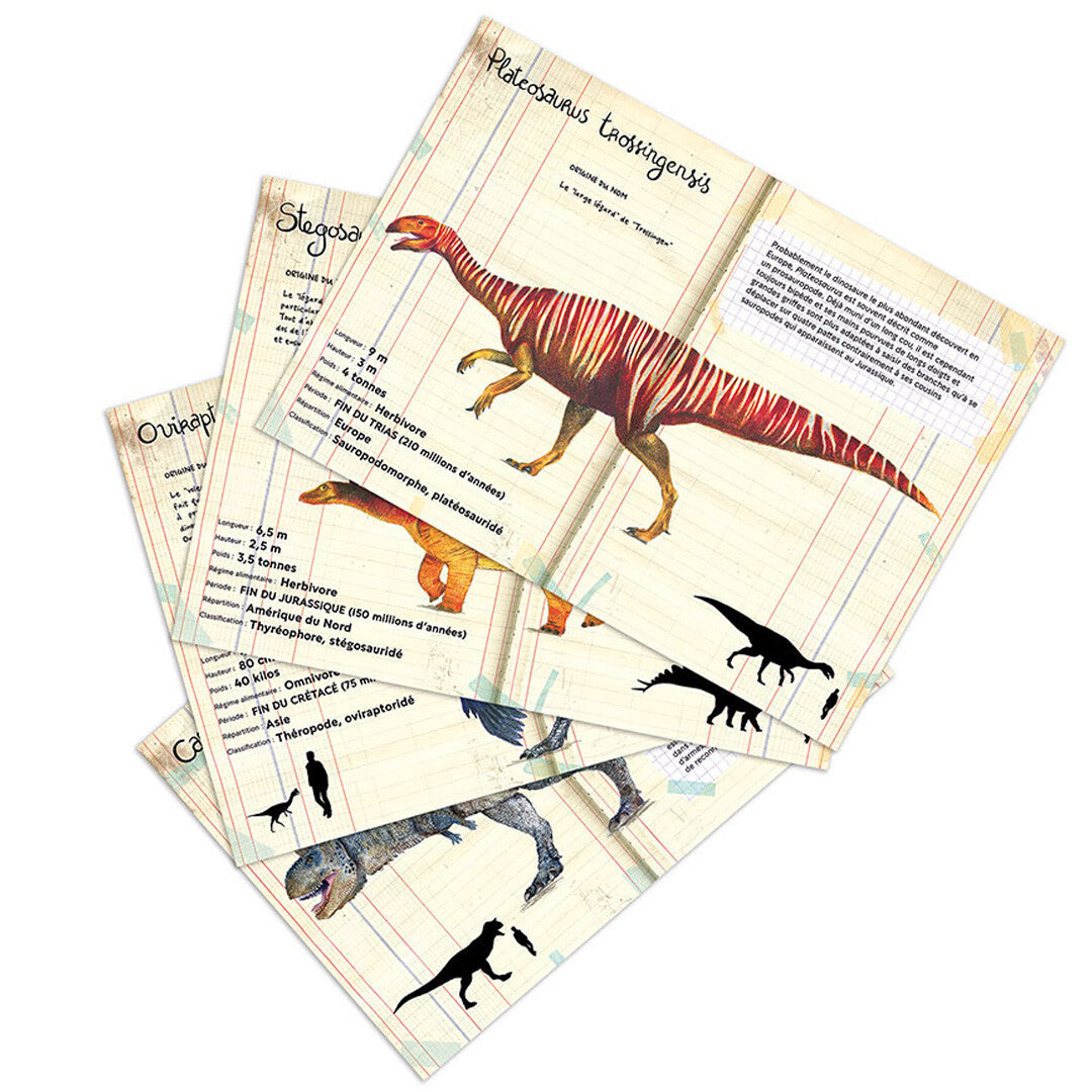 vilac magneten dinosaurussen - 21st | VI9624 | 2