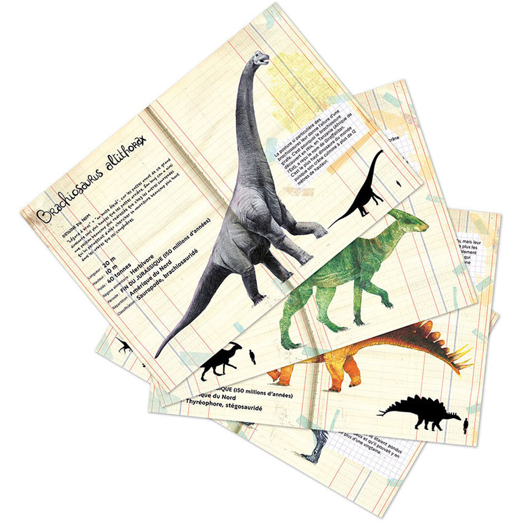 vilac magneten dinosaurussen - 21st | VI9624 | 3