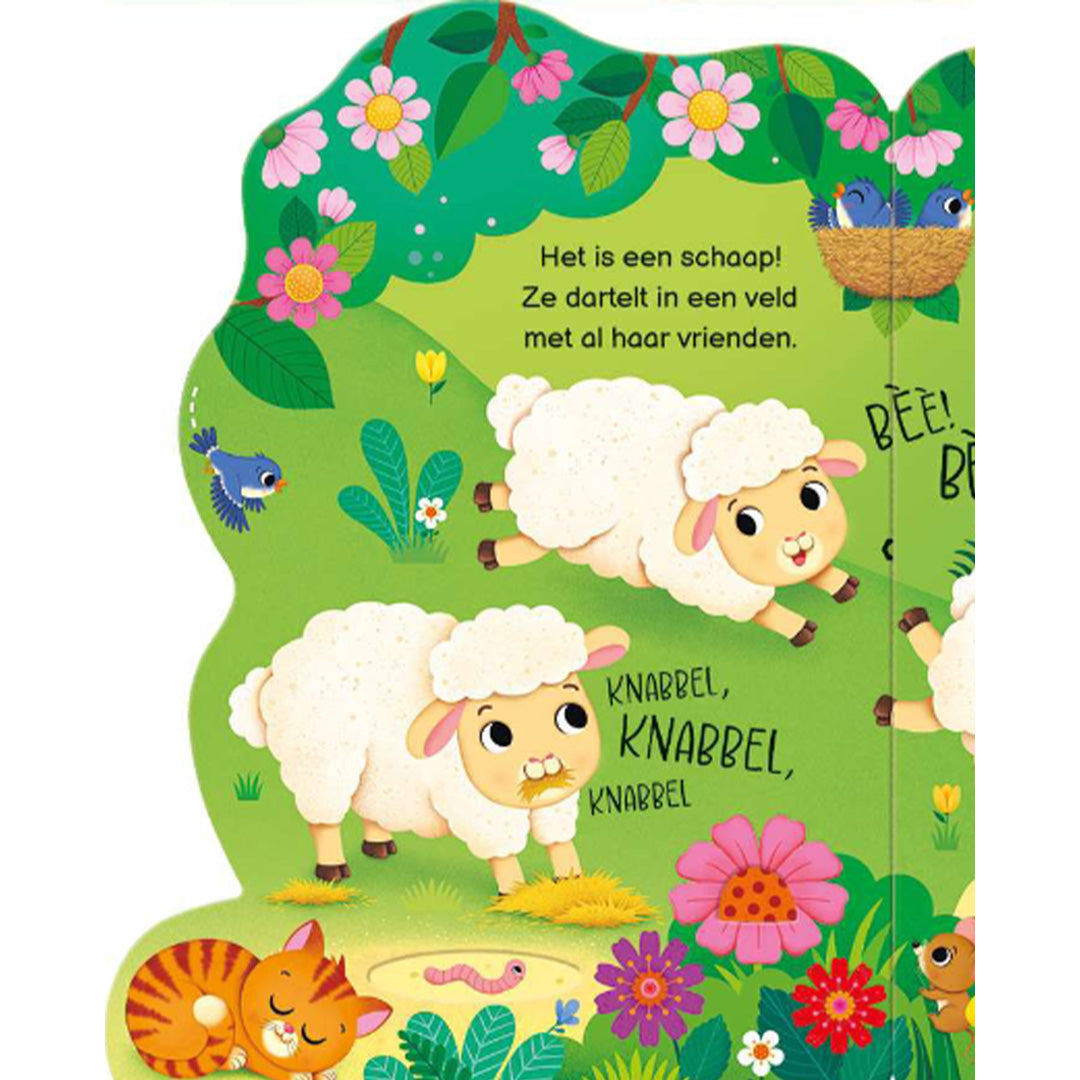 uitgeverij usborne kartonboek wie zie je vandaag op de boerderij? | 1706934 | 14