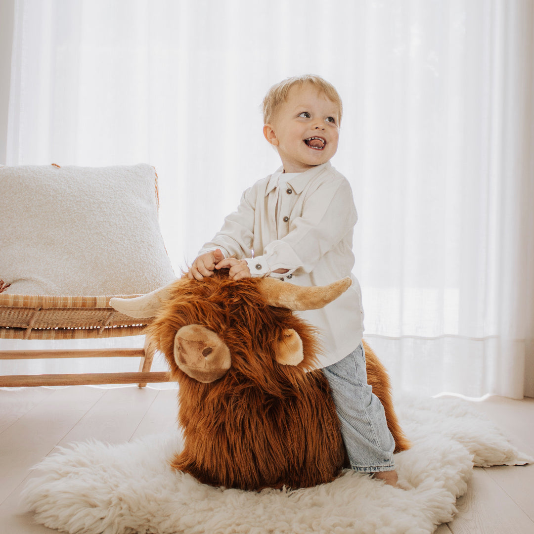 wild & soft skippydier schotse hooglander | WS4853 | 2