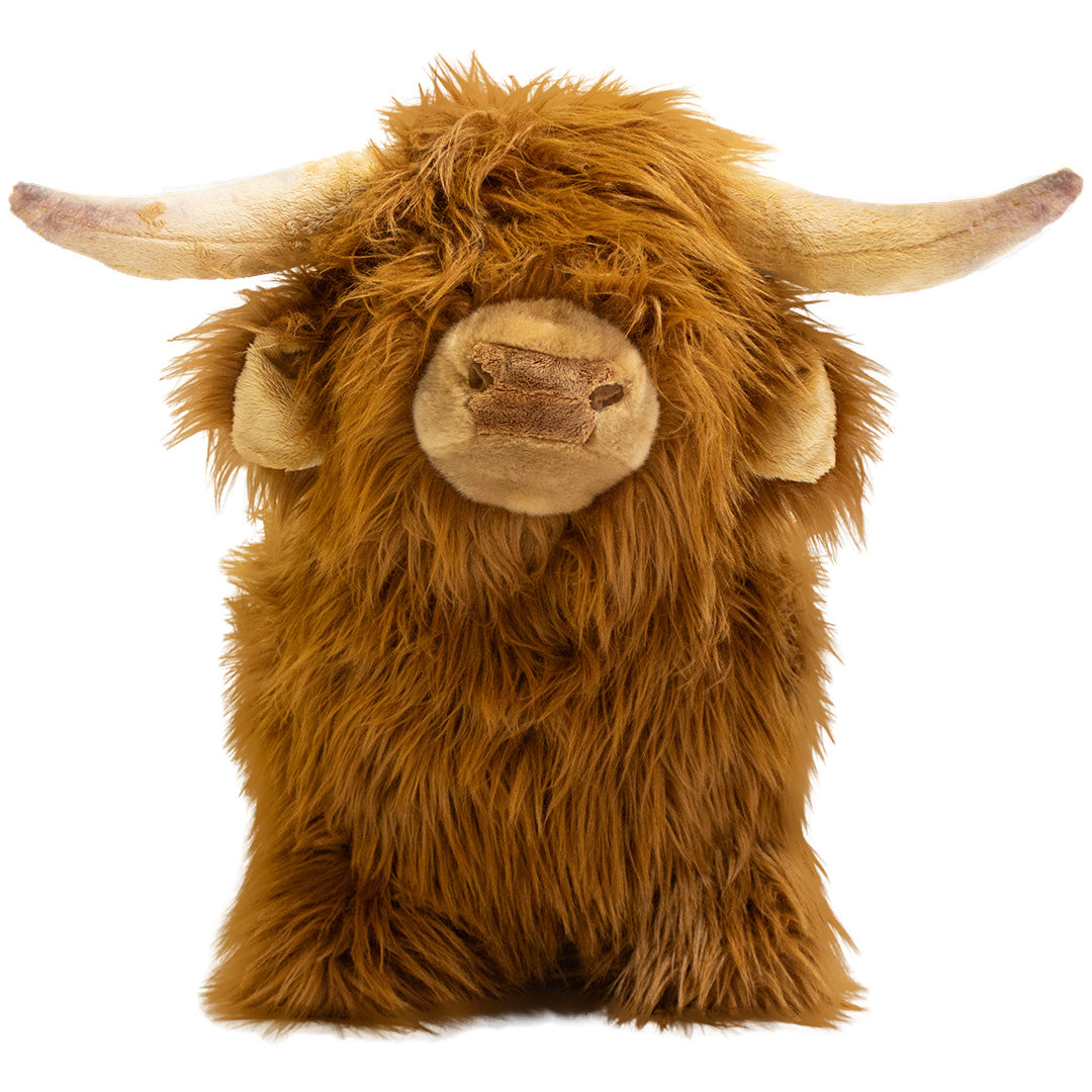 wild & soft skippydier schotse hooglander | WS4853 | 4