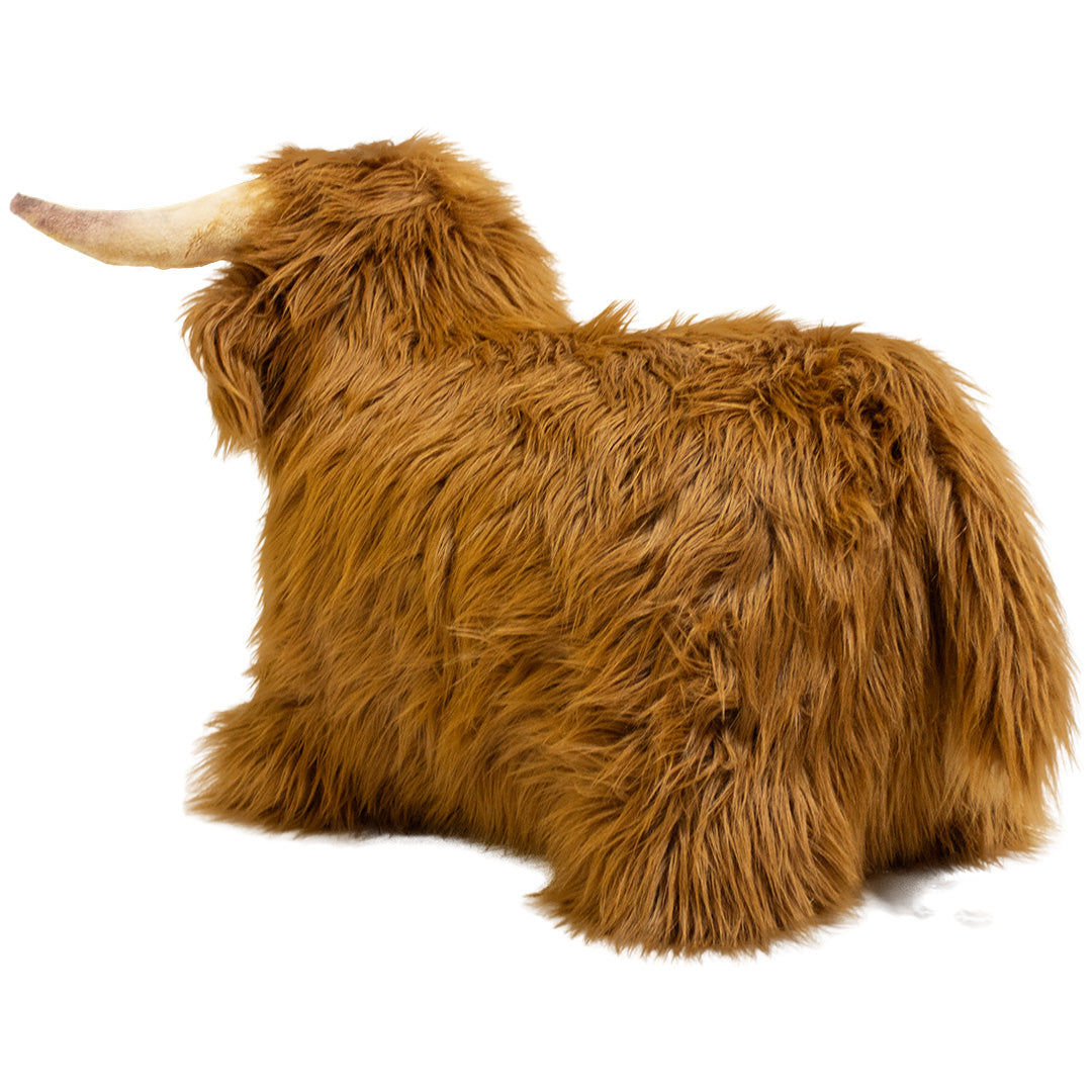 wild & soft skippydier schotse hooglander | WS4853 | 5