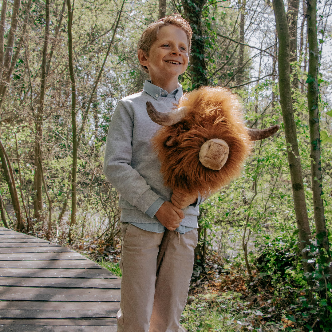 wild & soft stokdier schotse hooglander | WS4805 | 1