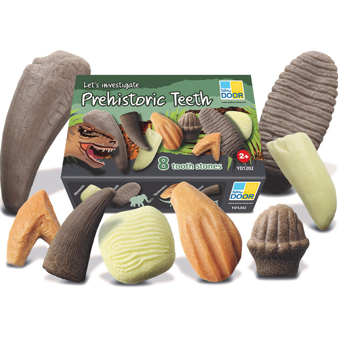 yellow door prehistorische tanden discovery set - 8st | YD1202 | 0