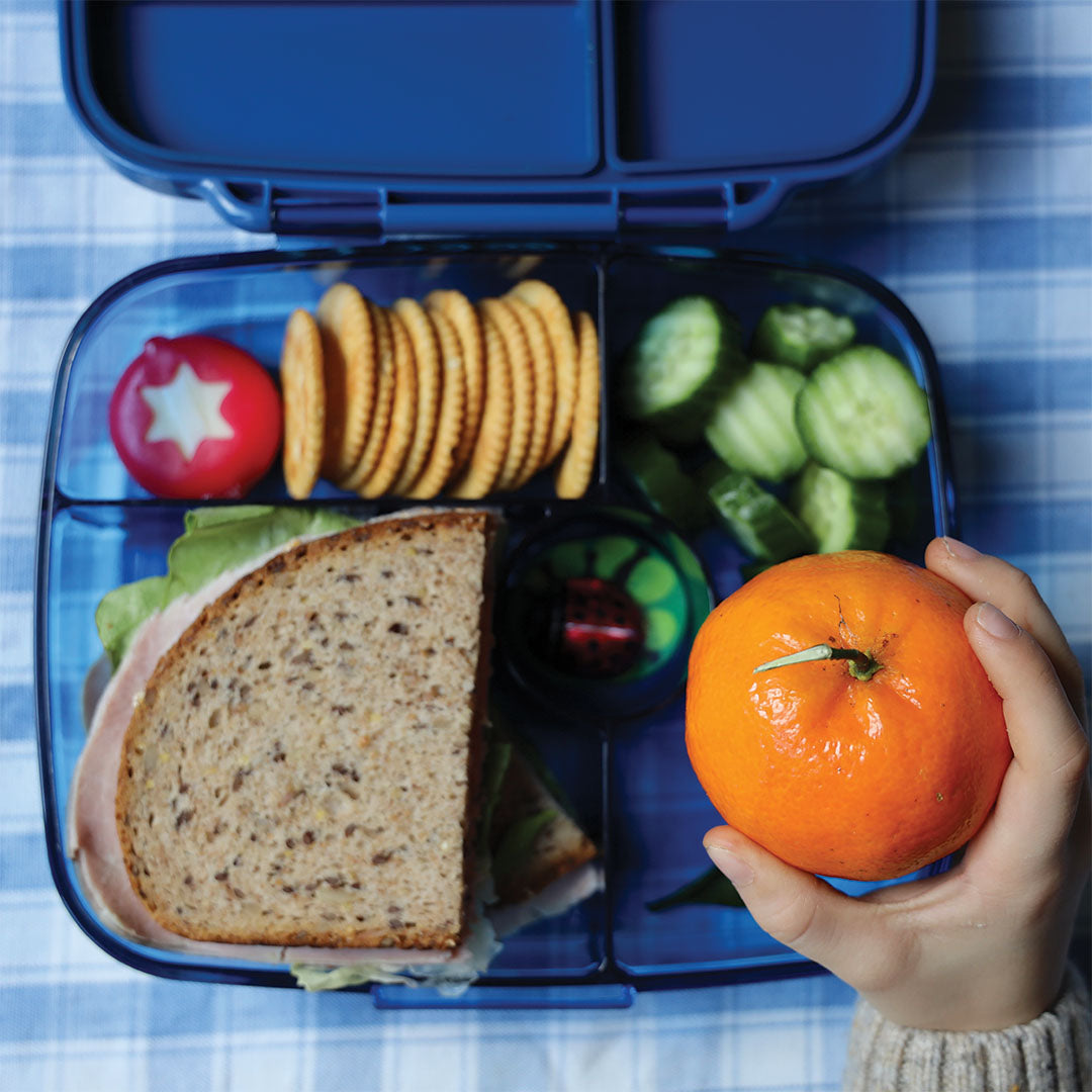 yumbox go broodtrommel 5 vakken - oslo blue | OBG202510 | 2