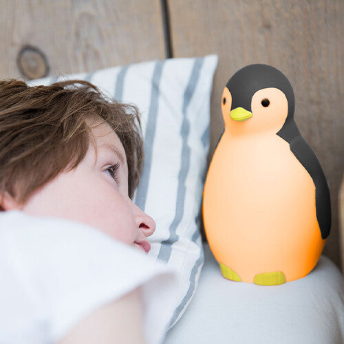 zazu 3-in-1 slaaptrainer pam - grijs  | ZA-PAM-01 PR10 | 1